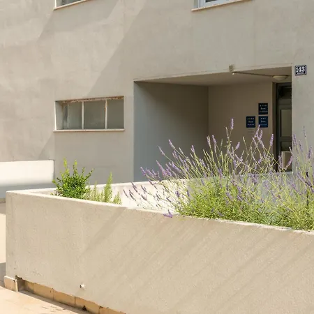 Sun & Palms Apartmán