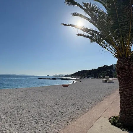 Sun & Palms * Split