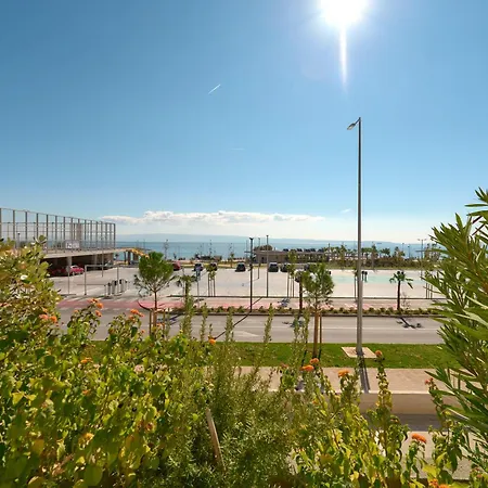 Sun & Palms سبليت