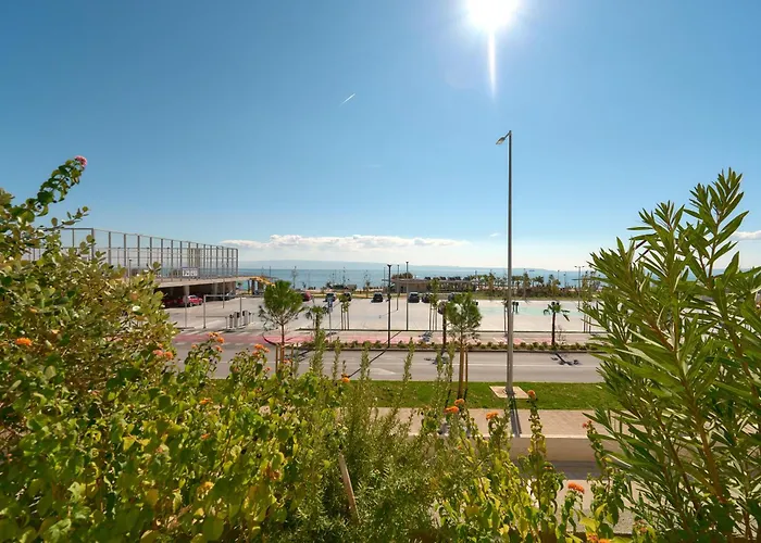 Sun & Palms Split
